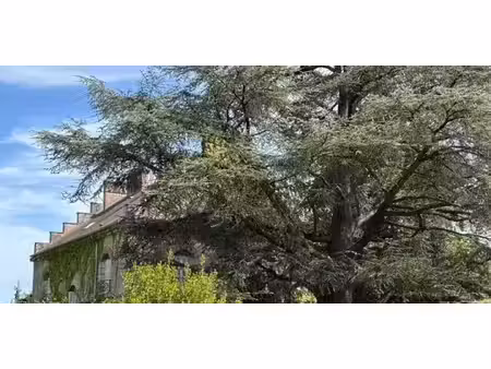 maison avec jardin donnemarie-dontilly (77)