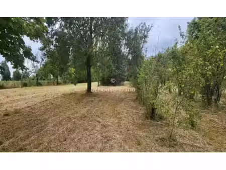terrain à batir pour 7 à 9 lots - 5380 m2 - coeur de village