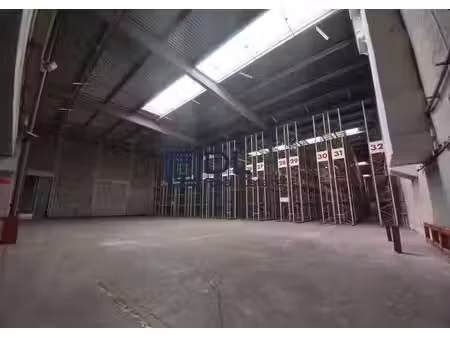 vente entrepôt gretz-armainvilliers 77220 11355m² à 60323m²
