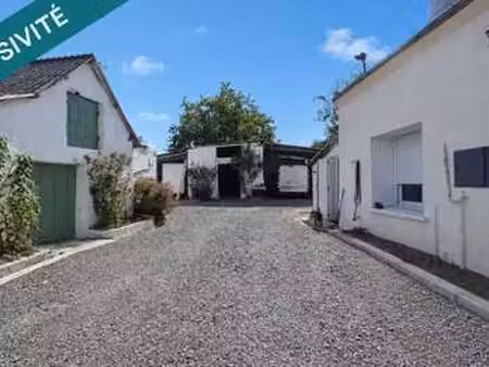 vente maison viager à genneteil (49490) : à vendre viager / 48m² genneteil