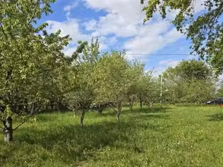 vente terrain à précigné (72300) : à vendre / précigné
