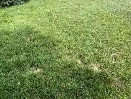 vente terrain à crach (56950) : à vendre / crach