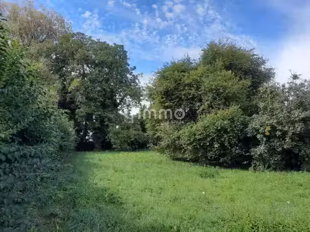 terrain constructible viabilisé à vendre