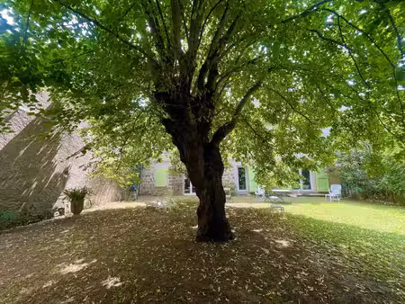elegante bastide renovee  superbe jardin et dependance amenagee