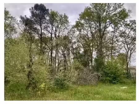 terrain à bâtir à le haillan (33185)