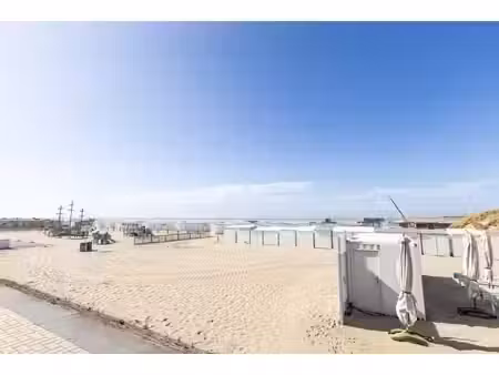 appartement à vendre avec grande terrasse à zeebruges!