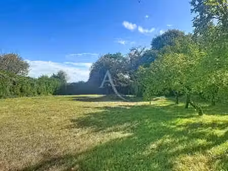 vente terrain à brissac-loire-aubance (49320) : à vendre / 1176m² brissac-loire-aubance