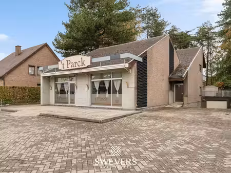 bien professionnel à vendre à houthalen € 550.000 (lripk) - swevers vastgoed - beringen | 