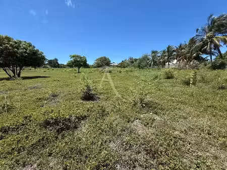 vente terrain 3000 m² à saint-françois (97118)  720 000 €