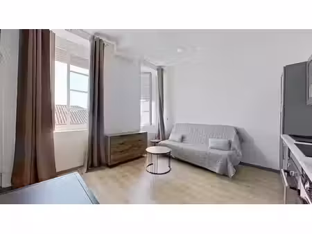location appartement 1 pièce 24 m² à lyon 1 (69001)