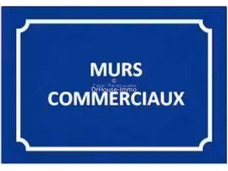 vente locaux d'activités pour investisseur
