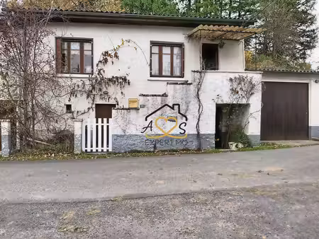 petite maison avec dépendances - parcelles boisées et pré - st dier d'auvergne 63520