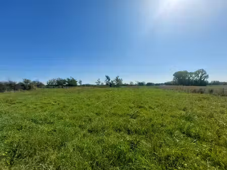 terrain à vendre 2580 m2