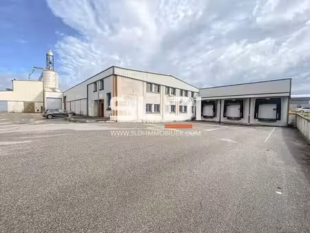 vente entrepôt saint georges d esperanche 38790 6035m²
