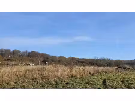 terrain constructible viabilisé à vendre