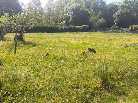 terrain constructible à vendre