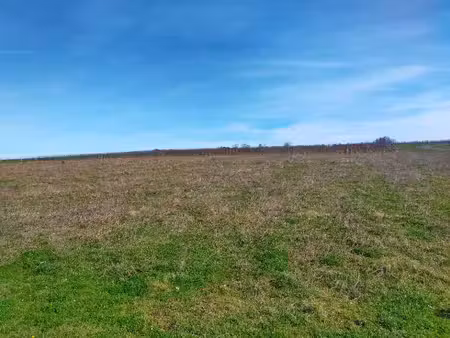 terrain constructible à vendre