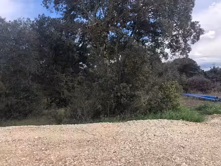 terrain constructible viabilisé à vendre