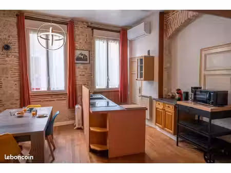 joli appartement rénové au cœur d'agen