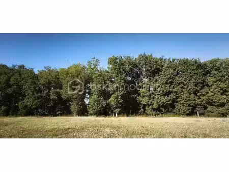 terrain constructible viabilisé à vendre