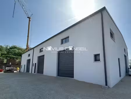 novilis conseil