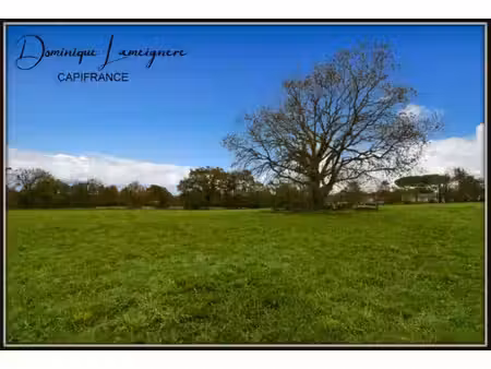 terrain constructible à vendre