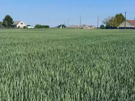 terrain constructible viabilisé à vendre