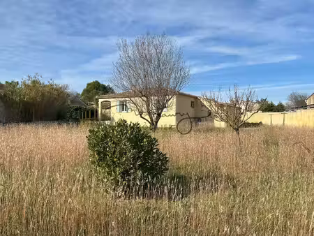 montaury immobilier