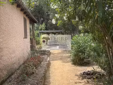 terra immobilier solenzara