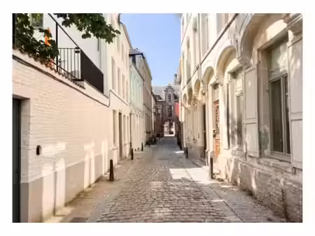 kot à louer à predikherenstraat 13 louvain (rbw11808)