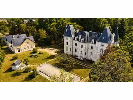 château ingrandes (86)