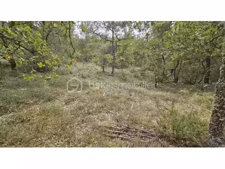 oraison / les mées – terrain forestier de plus de 7 5 hectares