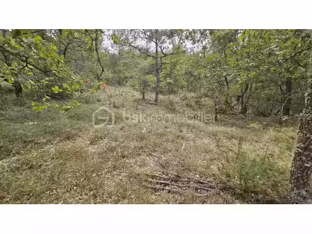 terrain de 75 795 m² à oraison