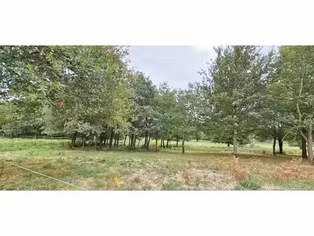 terrain loyat 2467 m2