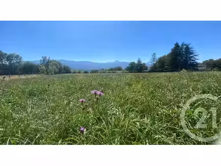 terrain à vendre - 3904 m2 - tilhouse - 65 - midi-pyrenees