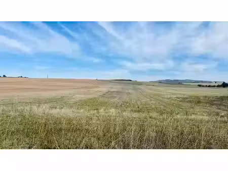 vente terrain 1010 m² bazarnes (89460)