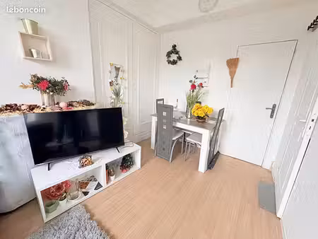 studio 1 pièce 20 m²