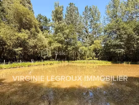 terrain 14 962 m² port brillet
