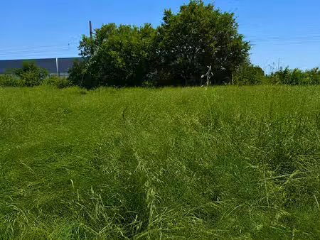 vente terrain 420 m² à pierrelatte (26700)  73 000 €