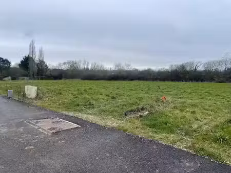 vente terrain 566 m² à saint-père-en-retz (44320)  104 500 €