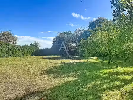 vente terrain 1176 m² à brissac-quincé (49320)  93 900 €