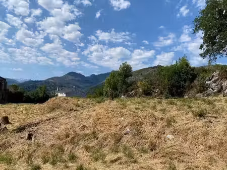 vente terrain 3593 m² à lourdes (65100)  100 000 €
