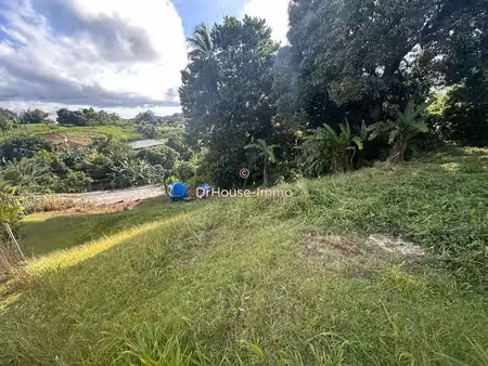 terrain de 5 695 m² avec vue dégagée au gros-morne