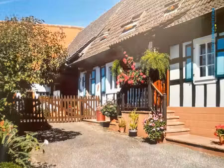vente maison 6 pièces 130 m² niederlauterbach (67630)