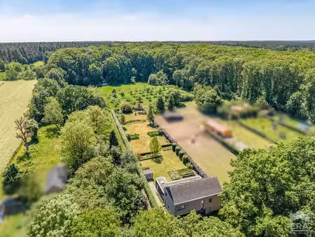 maison moderne ouverte à tessenderlo