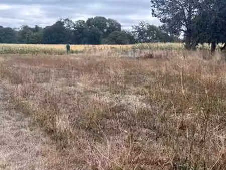vente terrain à peillac (56220) : à vendre / 1642m² peillac
