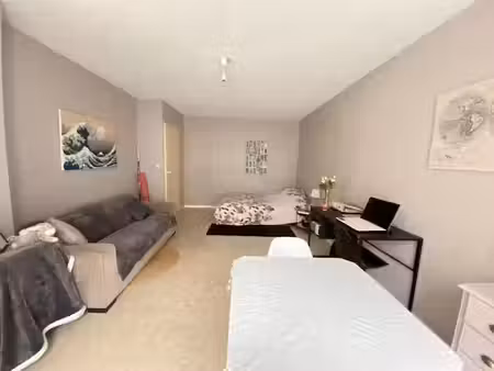 location appartement 1 pièce 28 m² à nancy (54000)  495 €