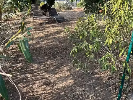 appart f3 avec terrasse et jardin