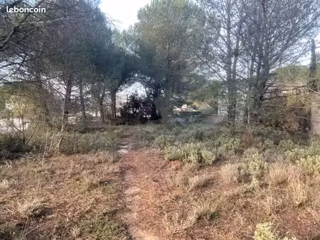 terrain 901 m² alleins