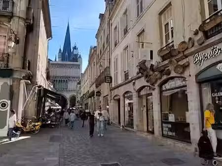 location appartement 2 pièces 47 m² à dijon (21000)  600 €
